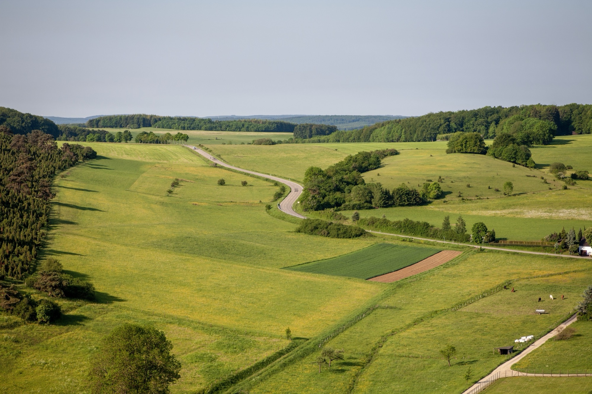 Rolling farmland with road, Moray countryside